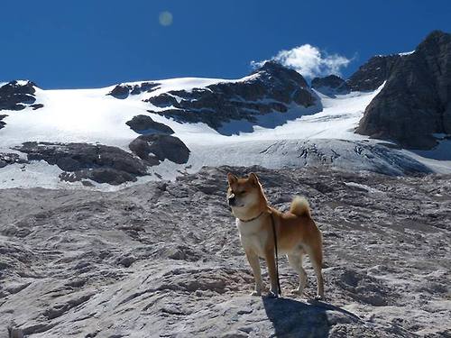 沪上风云，巅峰对决贝恩封神，上海力克猛龙夺关键一胜